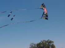 April - Kite Festival